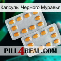 Капсулы Черного Муравья cialis4